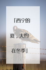 西宁的夏，大约在冬季