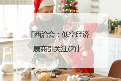 西洽会：低空经济展商引关注(2)