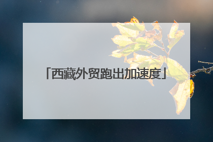西藏外贸跑出加速度