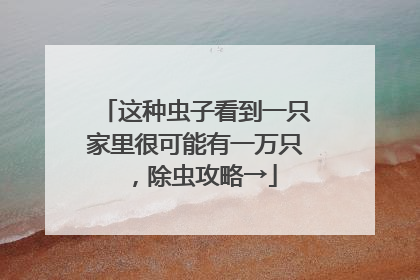 这种虫子看到一只家里很可能有一万只，除虫攻略→