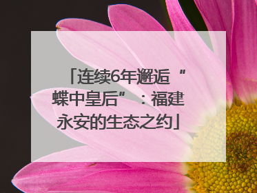 连续6年邂逅“蝶中皇后”：福建永安的生态之约