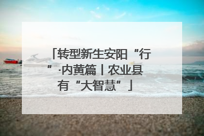 转型新生安阳“行”·内黄篇丨农业县有“大智慧”