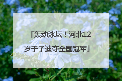 轰动泳坛！河北12岁于子迪夺全国冠军