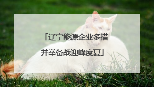 辽宁能源企业多措并举备战迎峰度夏