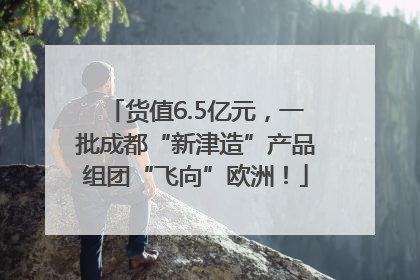货值6.5亿元，一批成都“新津造”产品组团“飞向”欧洲！