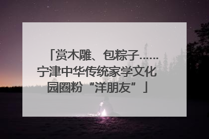 赏木雕、包粽子……宁津中华传统家学文化园圈粉“洋朋友”