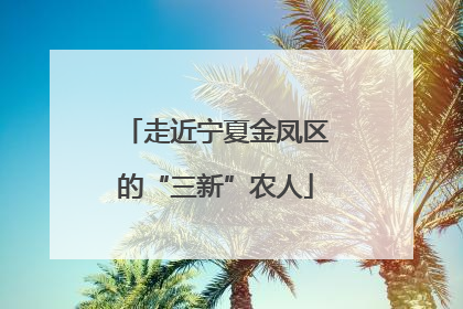 走近宁夏金凤区的“三新”农人