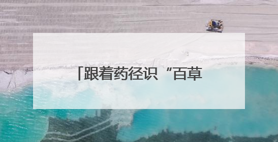 跟着药径识“百草”，宁波首条中医药研学步道发布