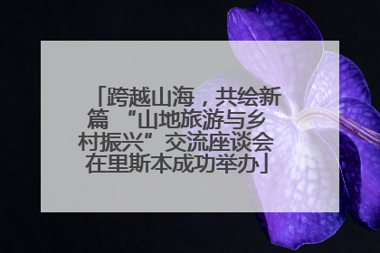 跨越山海，共绘新篇 “山地旅游与乡村振兴”交流座谈会在里斯本成功举办