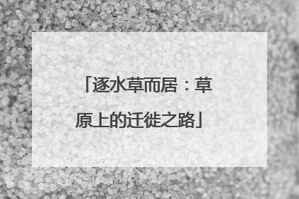 逐水草而居：草原上的迁徙之路