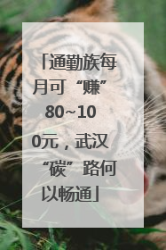 通勤族每月可“赚”80~100元，武汉“碳”路何以畅通