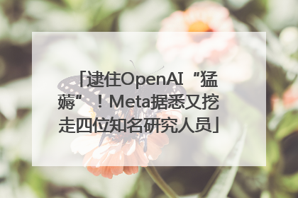 逮住OpenAI“猛薅”！Meta据悉又挖走四位知名研究人员