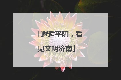 邂逅平阴，看见文明济南