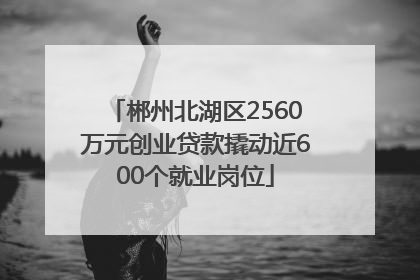 郴州北湖区2560万元创业贷款撬动近600个就业岗位