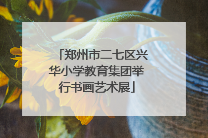 郑州市二七区兴华小学教育集团举行书画艺术展