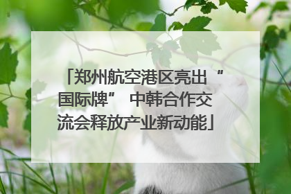 郑州航空港区亮出“国际牌” 中韩合作交流会释放产业新动能