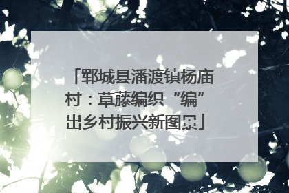 郓城县潘渡镇杨庙村：草藤编织“编”出乡村振兴新图景