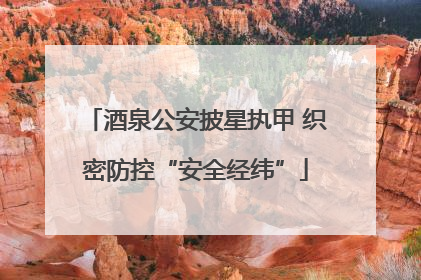 酒泉公安披星执甲 织密防控“安全经纬”