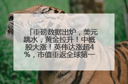 重磅数据出炉，美元跳水，黄金拉升！中概股大涨！英伟达涨超4%，市值重返全球第一！黄仁勋计划出售至多600万股股票