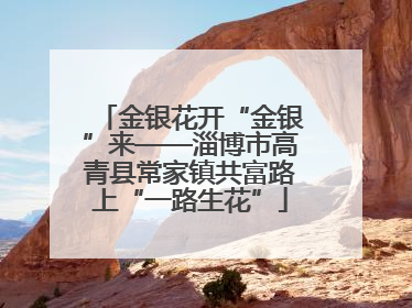 金银花开“金银”来——淄博市高青县常家镇共富路上“一路生花”