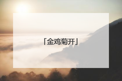 金鸡菊开