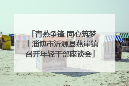 青燕争锋 同心筑梦丨淄博市沂源县燕崖镇召开年轻干部座谈会