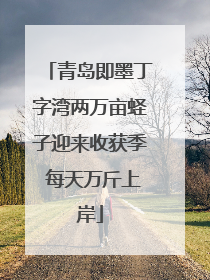 青岛即墨丁字湾两万亩蛏子迎来收获季 每天万斤上岸