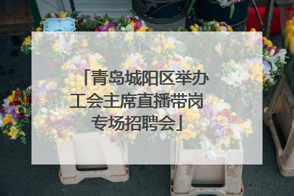 青岛城阳区举办工会主席直播带岗专场招聘会