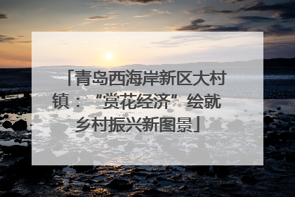 青岛西海岸新区大村镇：“赏花经济”绘就乡村振兴新图景