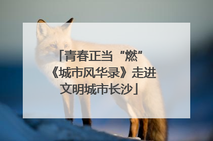 青春正当“燃” 《城市风华录》走进文明城市长沙