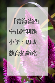 青海省西宁市胜利路小学：思政教育拓新路