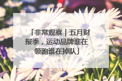 非常观察｜五月财报季，运动品牌谁在领跑谁在掉队