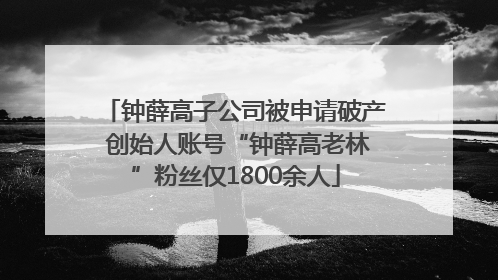钟薛高子公司被申请破产 创始人账号“钟薛高老林”粉丝仅1800余人