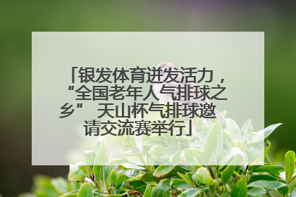 银发体育迸发活力，“全国老年人气排球之乡” 天山杯气排球邀请交流赛举行