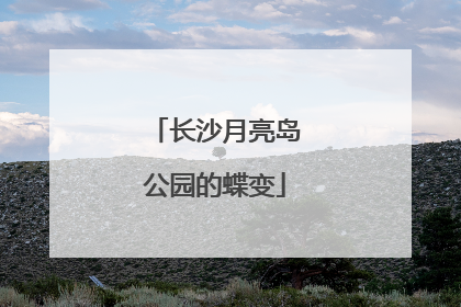 长沙月亮岛公园的蝶变