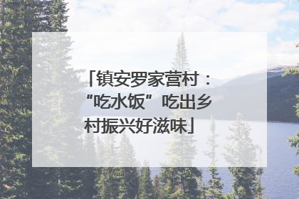 镇安罗家营村：“吃水饭”吃出乡村振兴好滋味