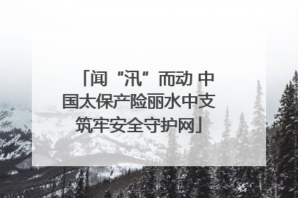 闻“汛”而动 中国太保产险丽水中支筑牢安全守护网