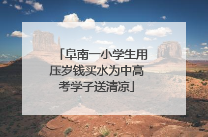 阜南一小学生用压岁钱买水为中高考学子送清凉