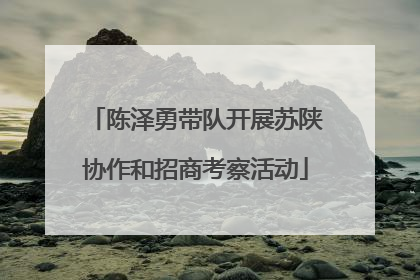 陈泽勇带队开展苏陕协作和招商考察活动