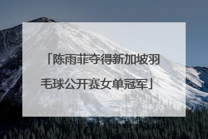陈雨菲夺得新加坡羽毛球公开赛女单冠军