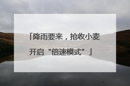 降雨要来，抢收小麦开启“倍速模式”