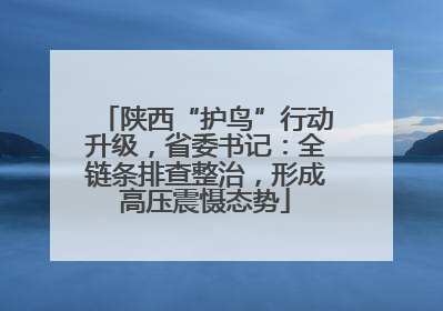 陕西“护鸟”行动升级，省委书记：全链条排查整治，形成高压震慑态势
