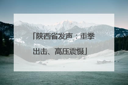 陕西省发声：重拳出击、高压震慑