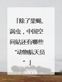 除了果蝇、涡虫，中国空间站还有哪些“动物航天员”