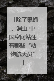 除了果蝇、涡虫 中国空间站还有哪些“动物航天员”