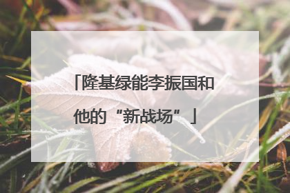 隆基绿能李振国和他的“新战场”