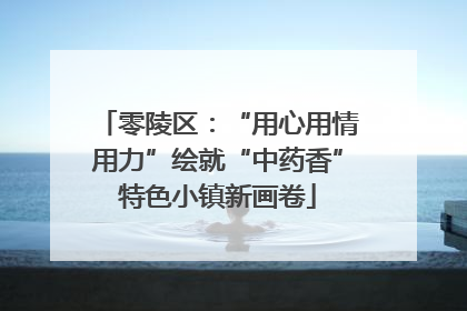 零陵区：“用心用情用力”绘就“中药香”特色小镇新画卷