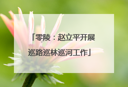 零陵：赵立平开展巡路巡林巡河工作