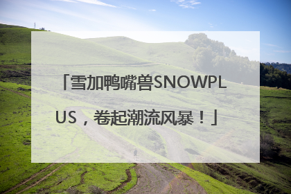雪加鸭嘴兽SNOWPLUS，卷起潮流风暴！