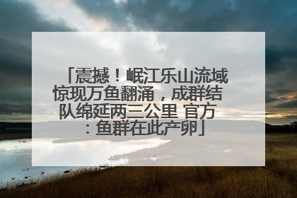 震撼！岷江乐山流域惊现万鱼翻涌，成群结队绵延两三公里 官方：鱼群在此产卵